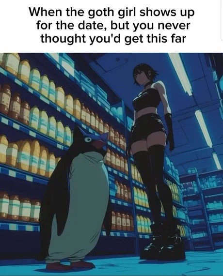 POV: you matched with the goth girl and accidentally made it to phase 2 - meme