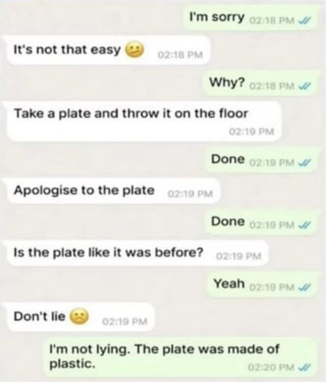 Apologized to the plate. Turns out it was plastic - meme