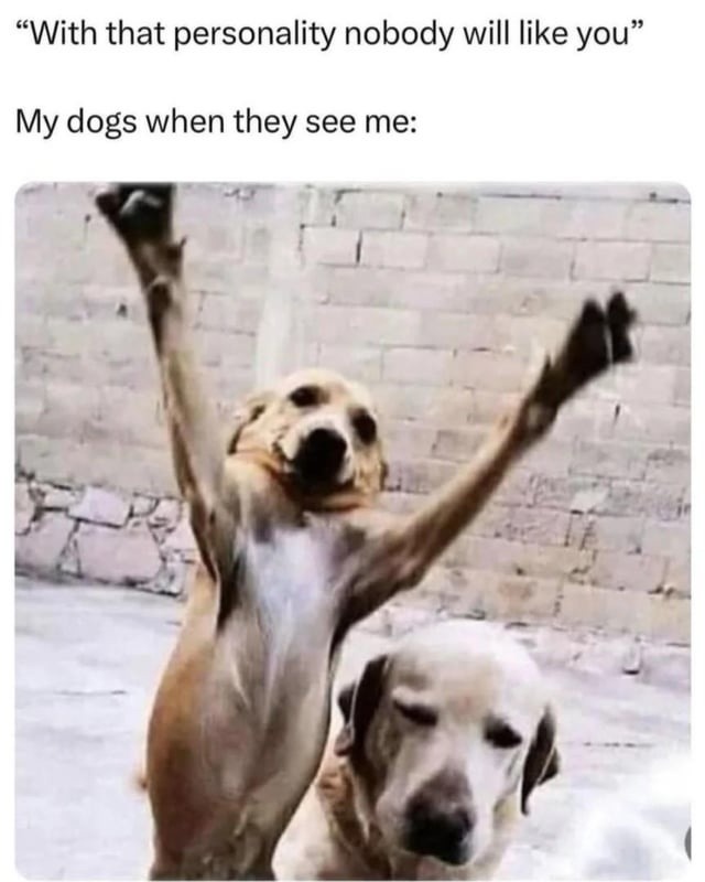 The best Validation memes :) Memedroid