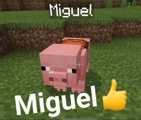 Miguel  - meme