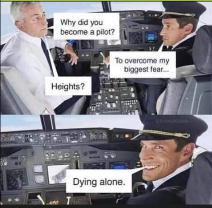pilot - meme
