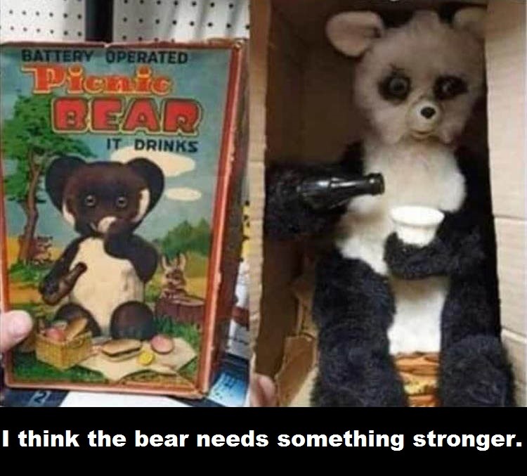 Picnic Bear Needs Help - meme