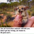 Just Australian things