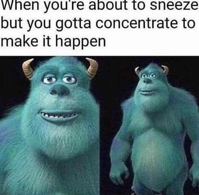 Sneeze - meme