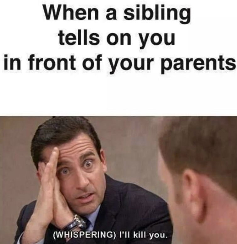 Siblings Day meme