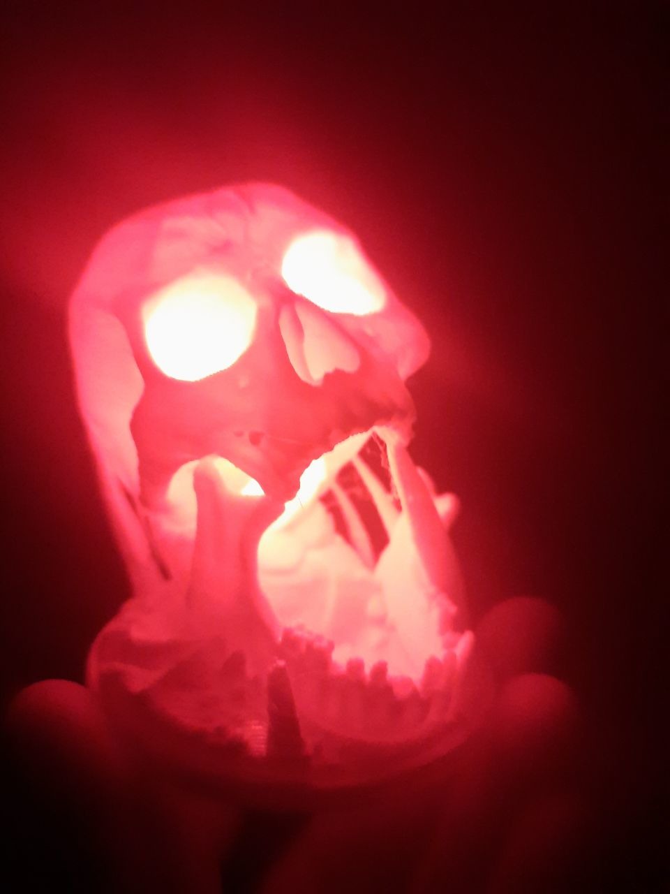 I 3D printed a skull. - meme