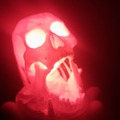 I 3D printed a skull.