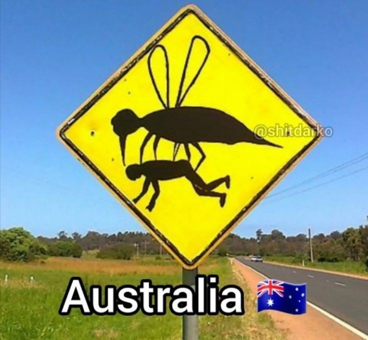 Dia normal na Austrália - meme