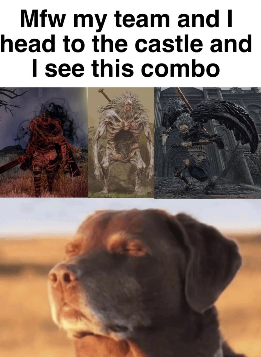 Me and the squad rolling up to the boss fight in style - meme