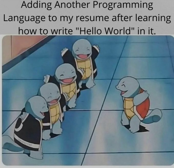 Hello World Programmer - meme