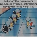 Hello World Programmer