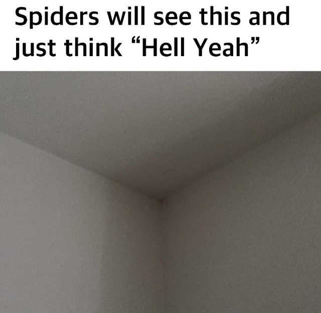 Spidermeme