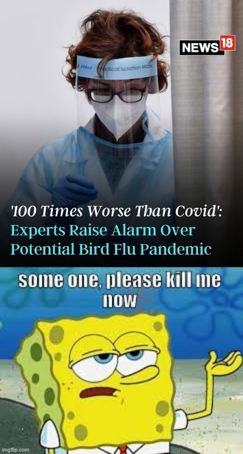 2024 Bird flu pandemic meme