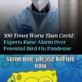 2024 Bird flu pandemic meme