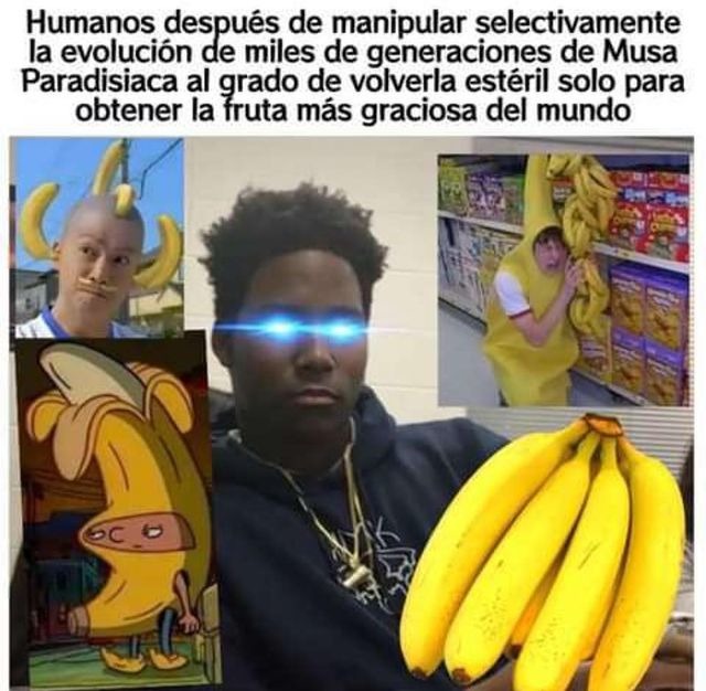 Plátanos manipulados genéticamente - meme