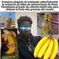 Plátanos manipulados genéticamente