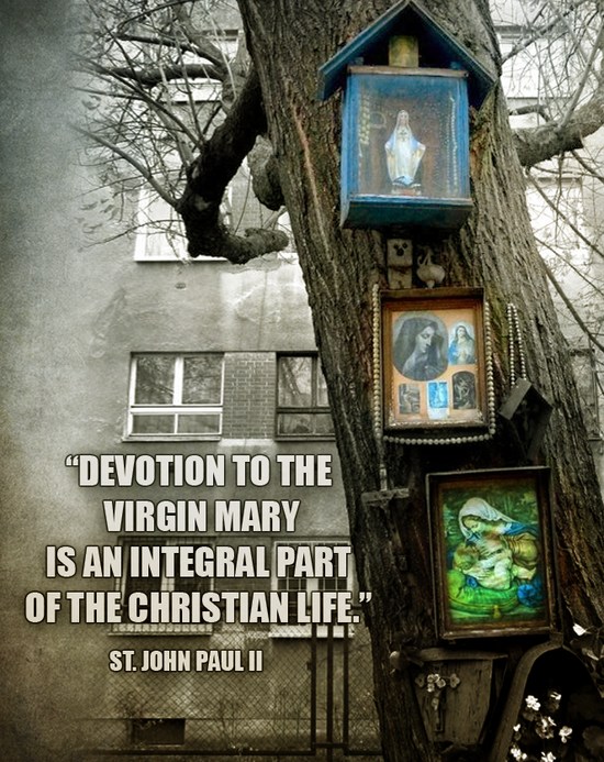 An Integral Part... - meme