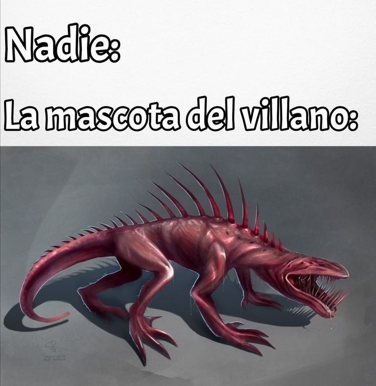 X5 - meme
