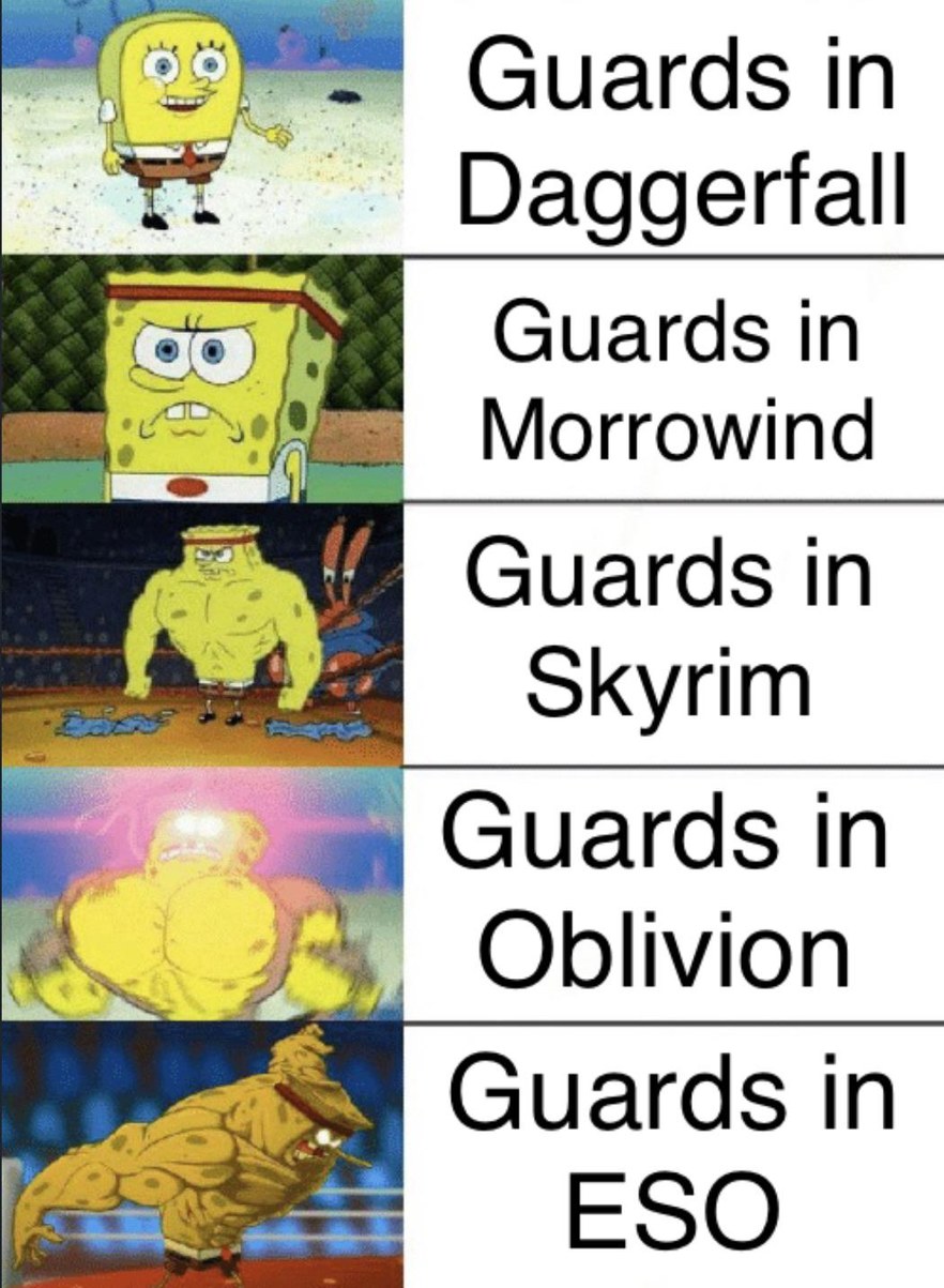 Guards in Elder Scrolls titles (sorry I didn't include spin-offs and Battlespire) - meme