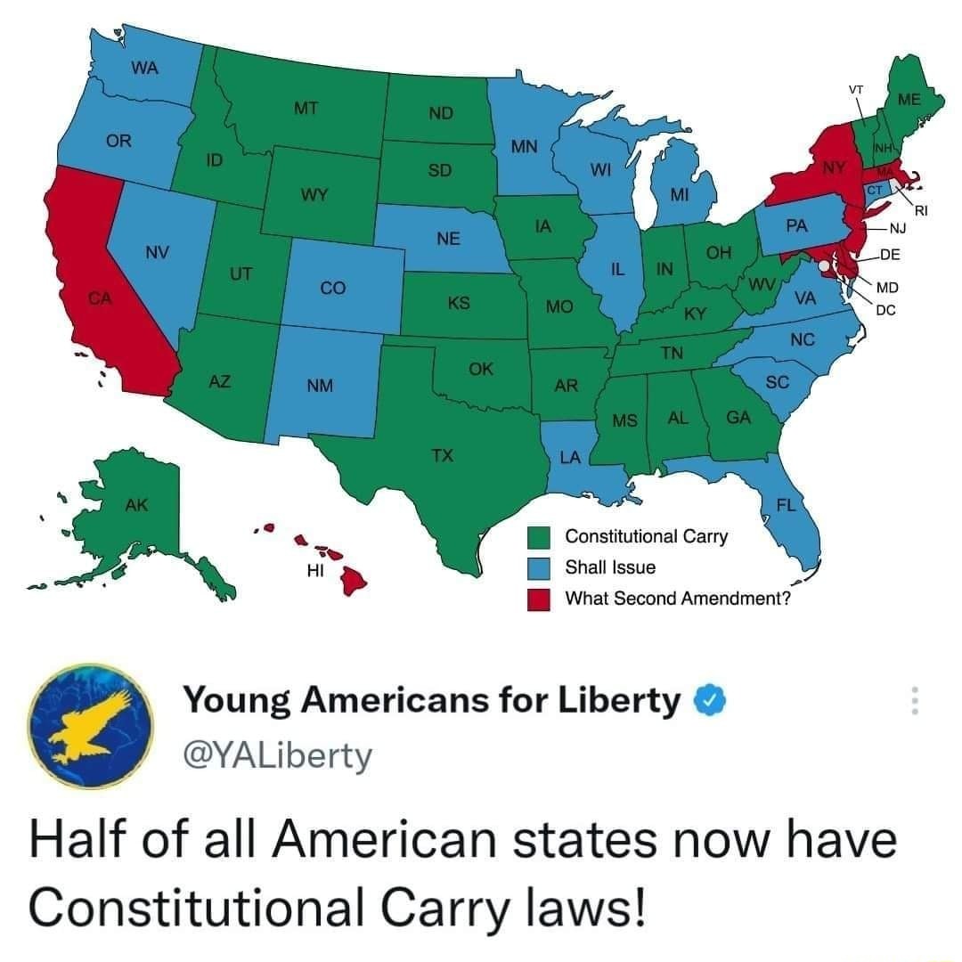 Constitutional carry - meme