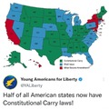 Constitutional carry