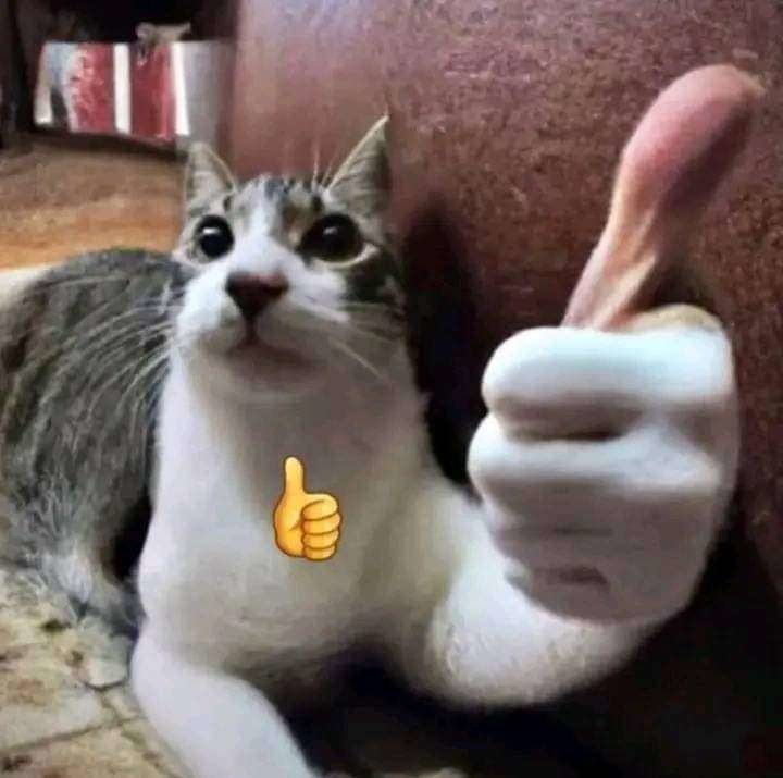 Yo - Meme by RedLeaderNifaCAC :) Memedroid