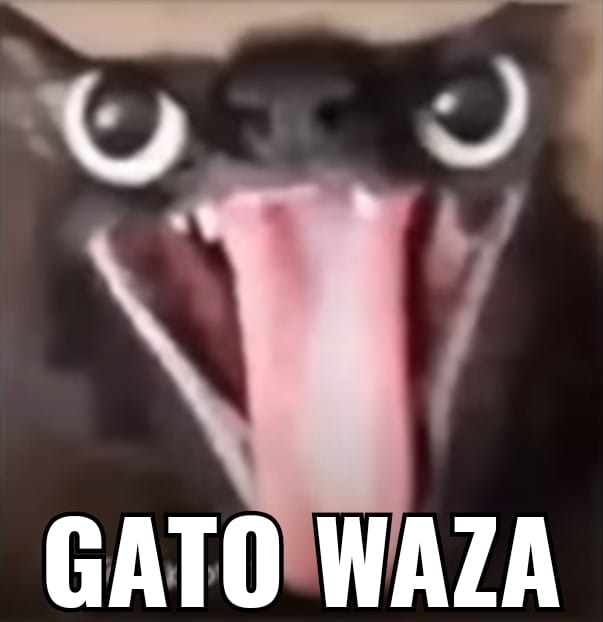 GATO WAZA - meme