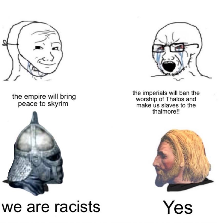 Skyrim belongs to the nords - meme