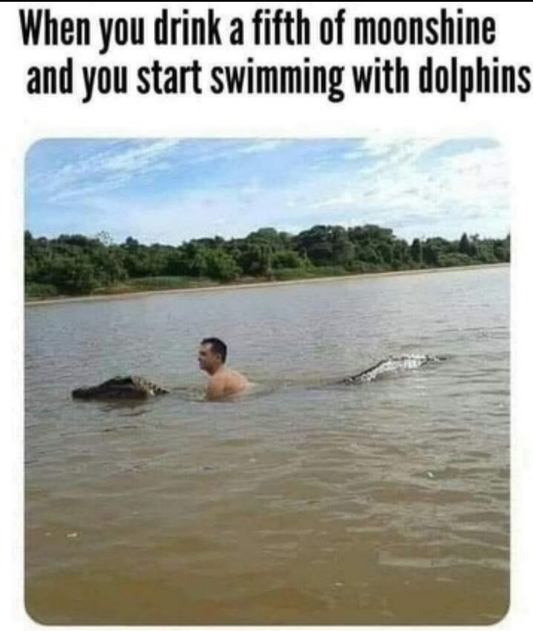 Shine on bois - meme