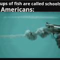 Groups of fish are called schools