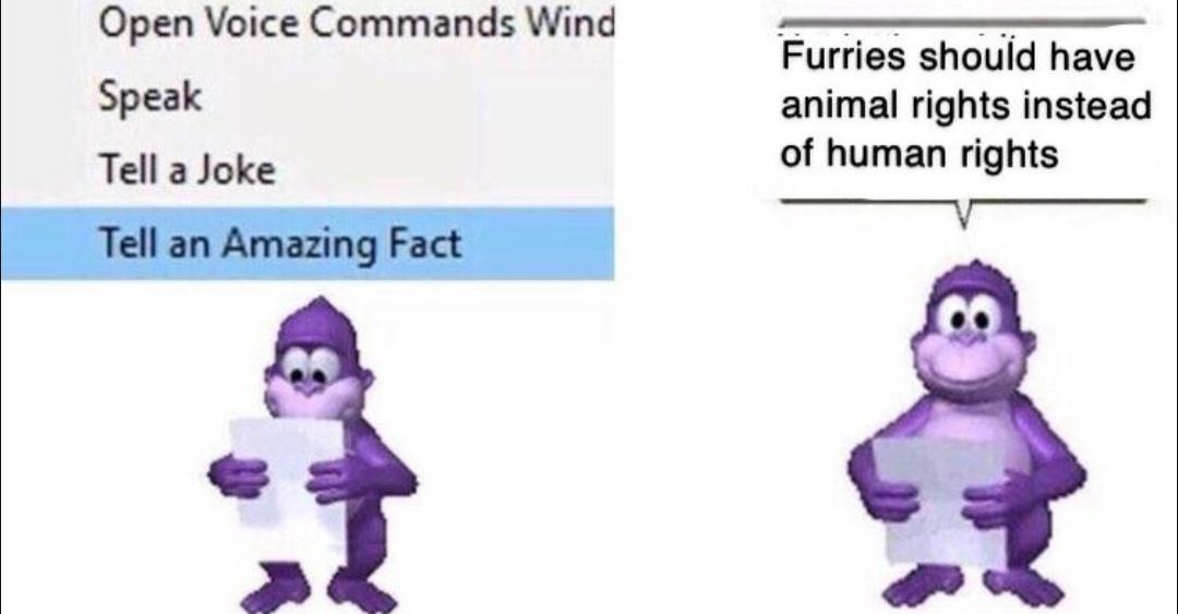 BonziBuddy  Know Your Meme