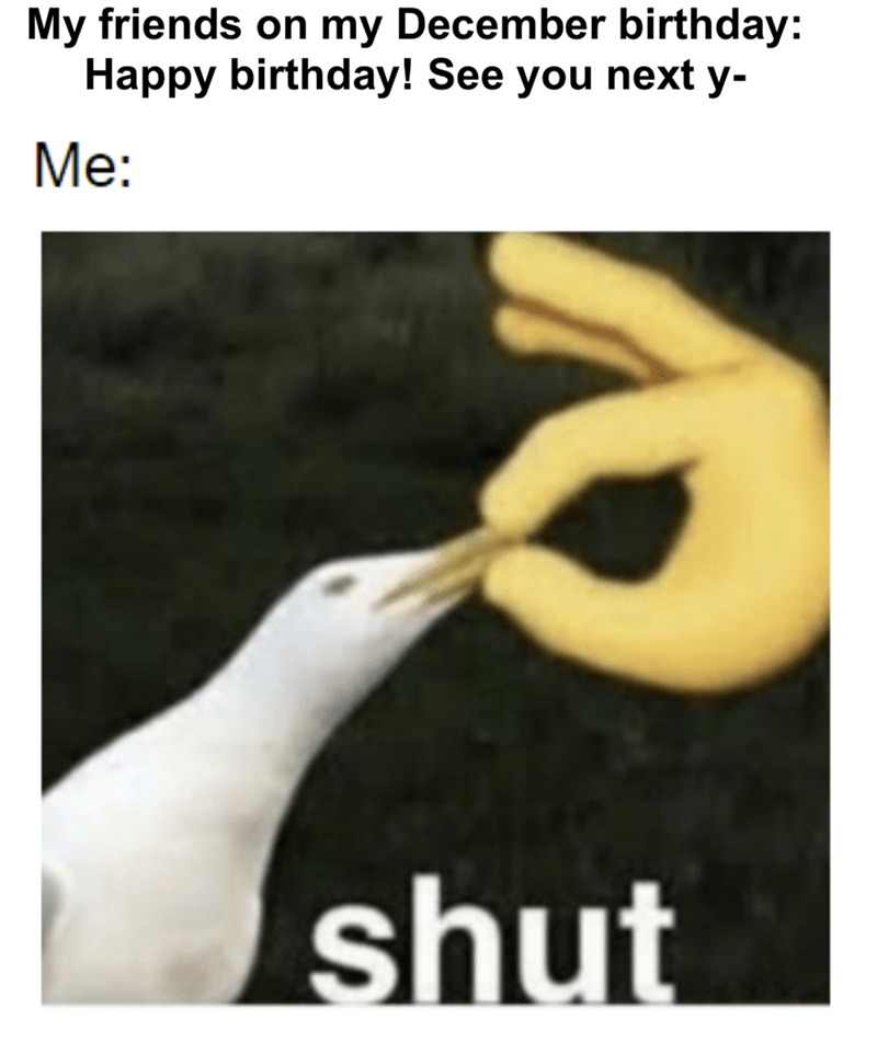 Friends on my December birthday - meme