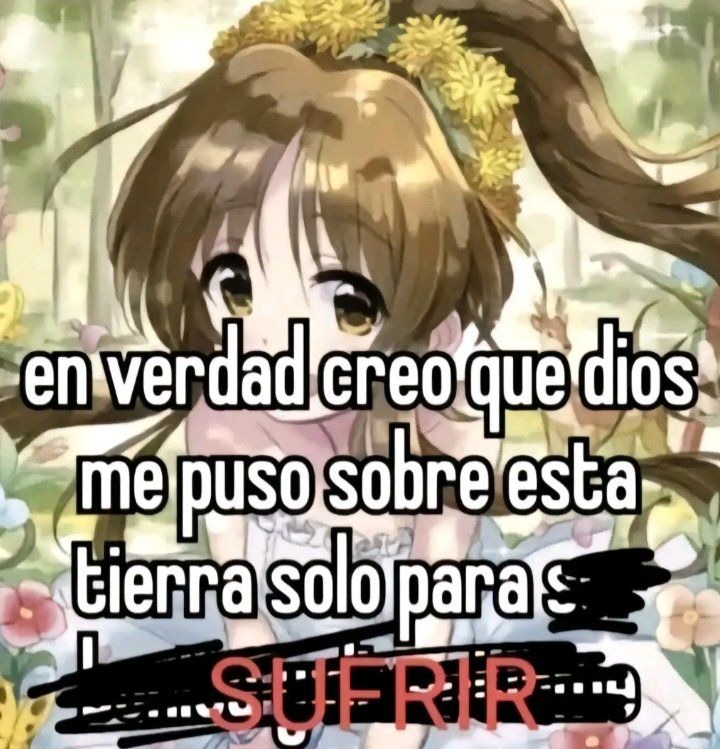 Denme ban rápido - meme