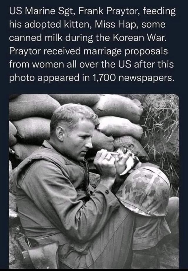 ﻿US Marine Sgt; Frank Praytor; feeding his adopted kitten, Miss some canned milk during the Korean War: Praytor received marriage proposals from women all over the US after this photo appeared in 1,700 newspapers. Hap;