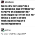 Minecraft is cool
