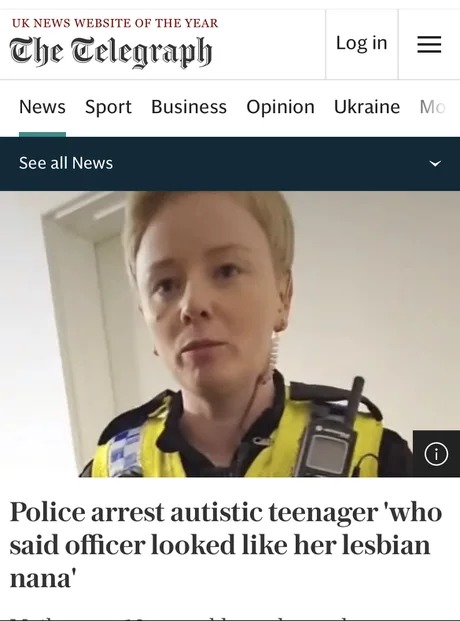Cop arrest autistic teenager who called her lesbian - meme
