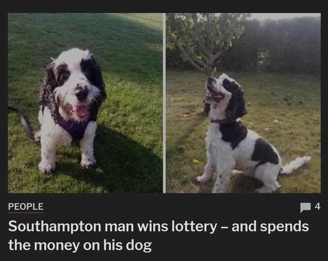 Spends lottery money on his doggo - meme