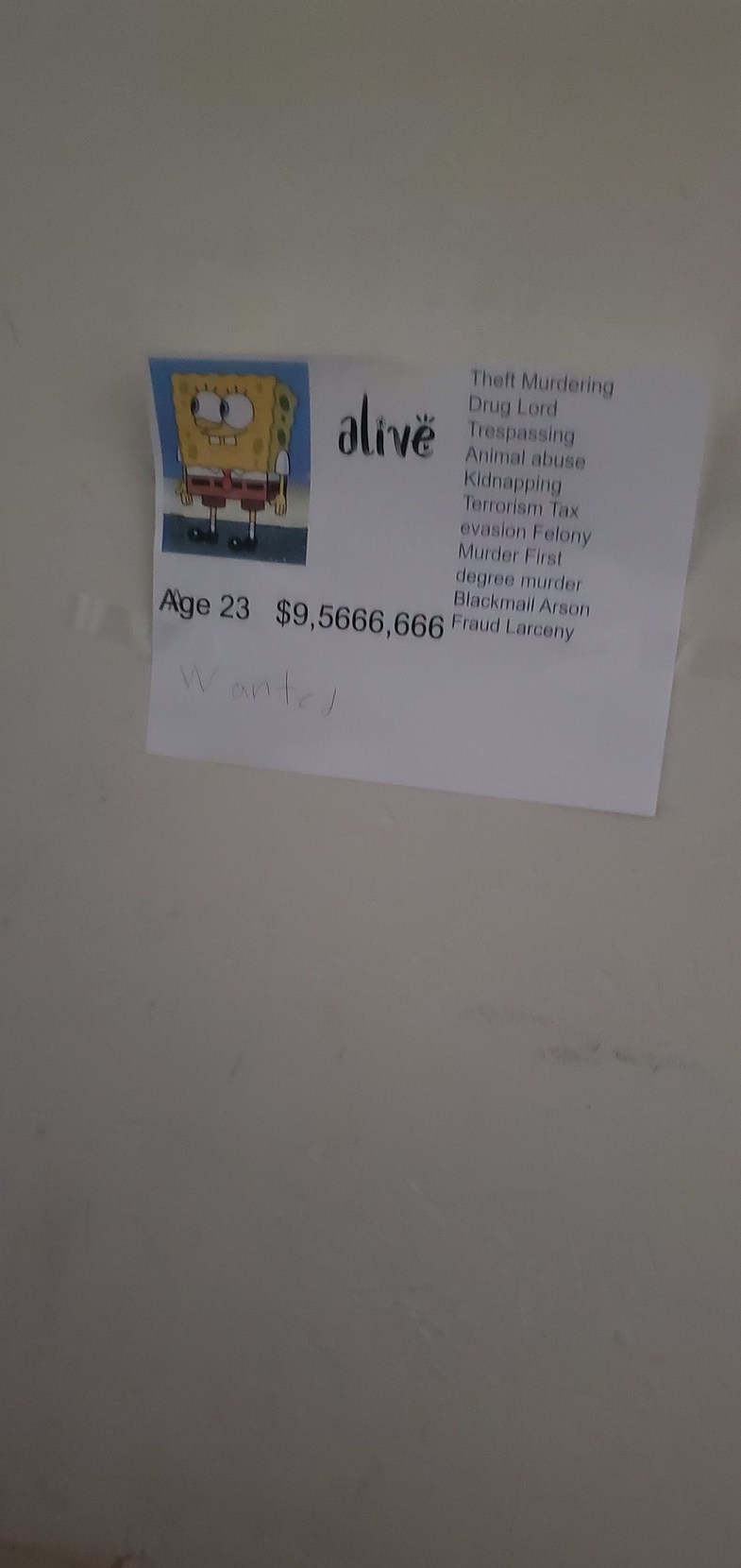 I found this in my basement - meme