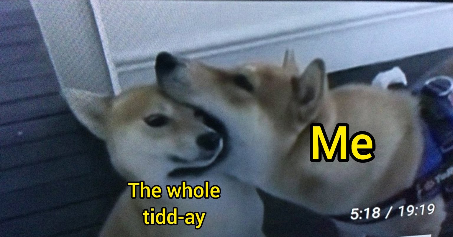 Tiddy - meme