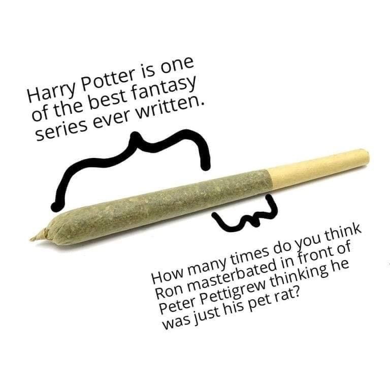Harry Potter for president - meme