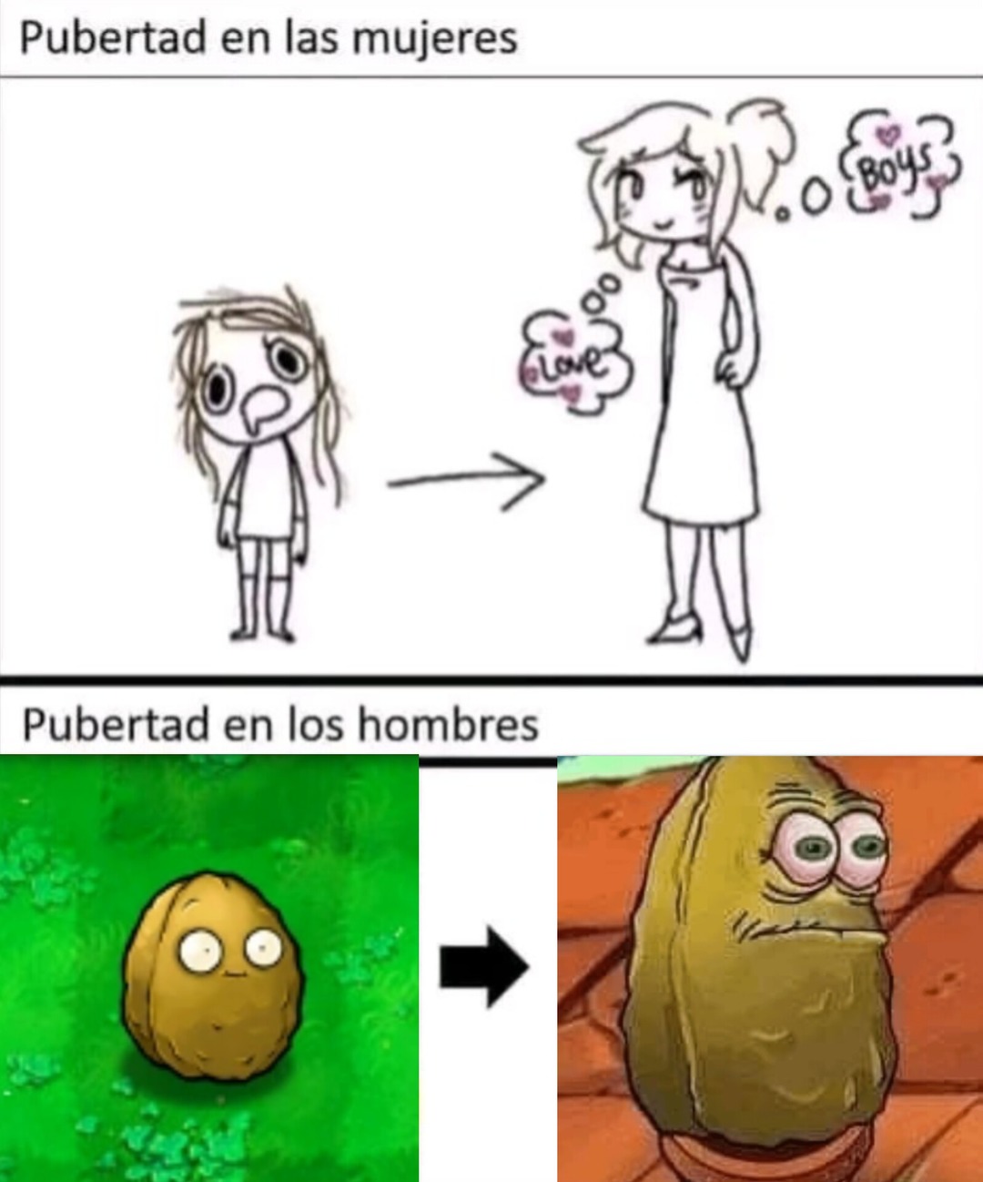 Si - meme