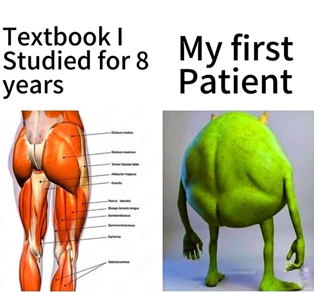 Never learned that - meme