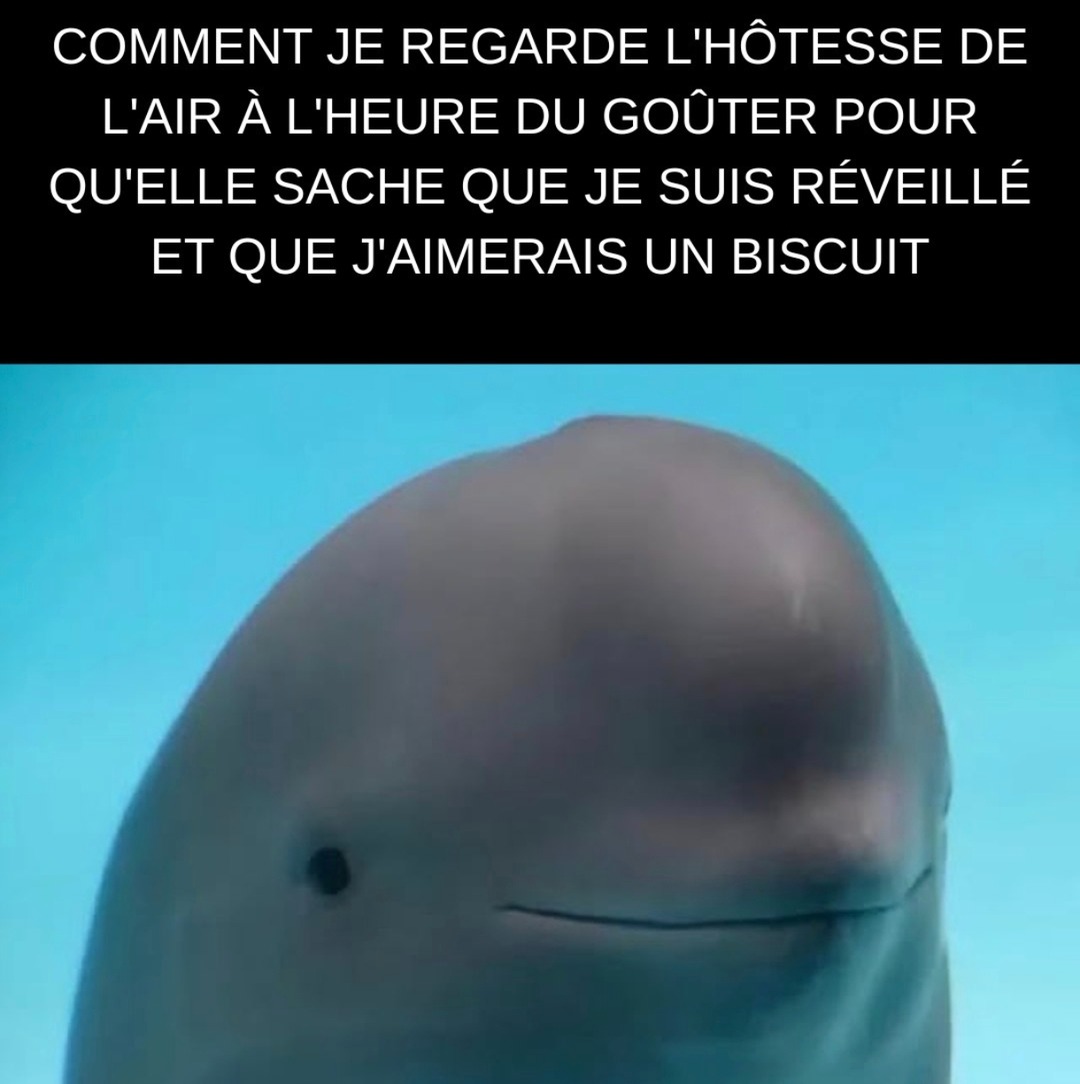Moi qui fais genre je dors plus pour gratter un biscuit à l'hôtesse - meme