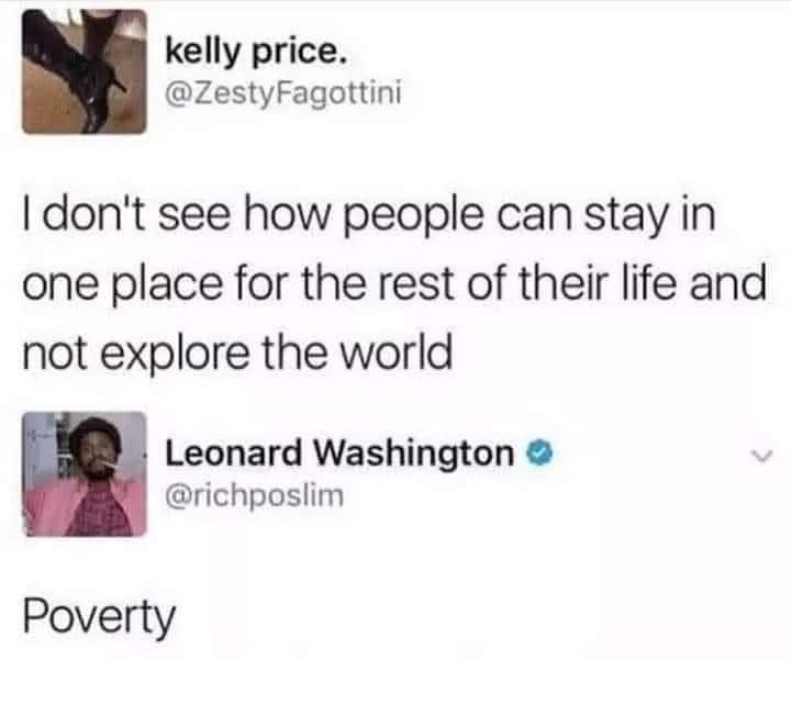 Why don’t people travel more? Leonard: POVERTY - meme