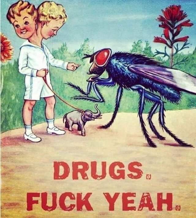 Drugs, don't take kids. - meme