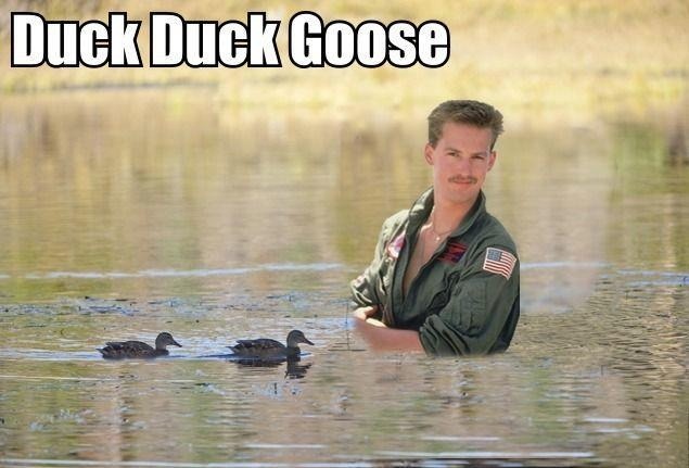 funny meme with the name of Goose from Top Gun