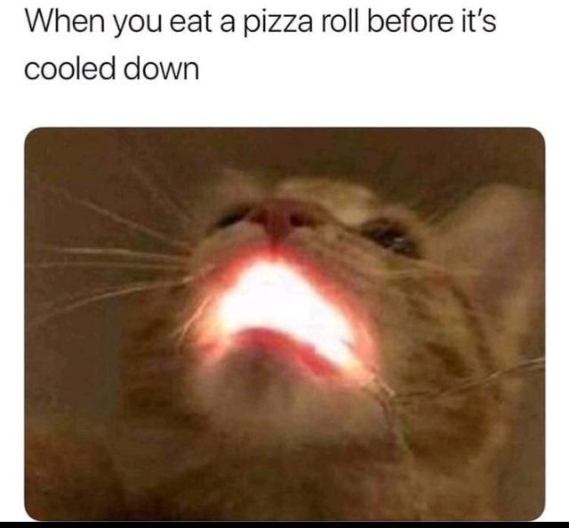 kid named pizza roll: - meme