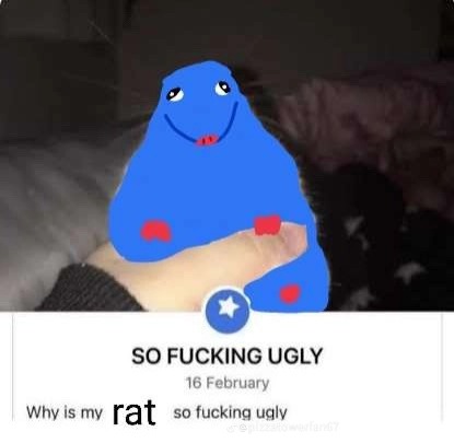 Why is rat so fucking ugly - meme