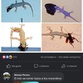 commented item thumbnail