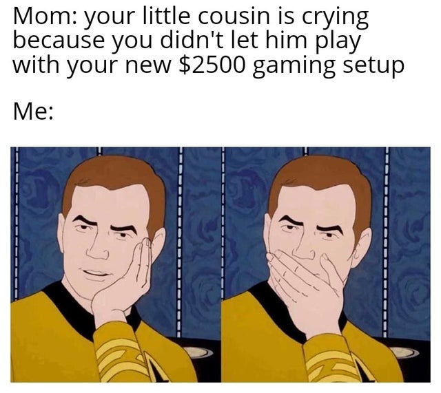 Your little cousin wants to play with your new expensive computer - meme